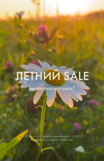 Летний SALE и бесплатная доставка!